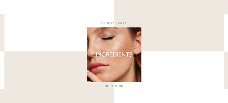 The most crucial ingredients in skincare